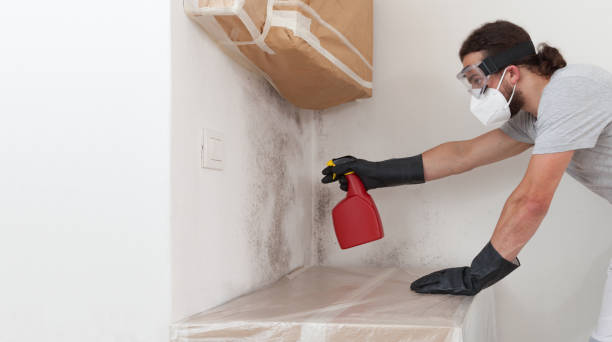 Professional Basement Mold Remediation technician working in Lancaster, TX