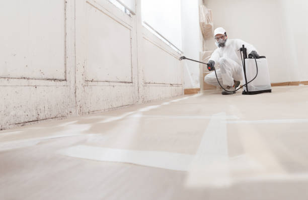 24/7 Emergency Basement Mold Remediation experts in Lancaster, TX